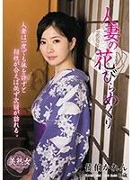 人妻の花びらめくり 佐伯かれん （DOD）