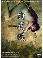 白夜蝶