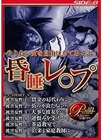 やりたい女を自由にもてあそぶ！ 昏●レ○プ （DOD）