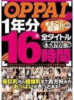 OPPAI 1年分全タイトルまるごと収録！！ 16時間