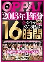 OPPAI 2013年1年分 全タイトルまるごと収録！！16時間