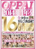 OPPAI 2014年1年分 全タイトルまるごと収録！！16時間