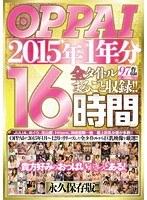 OPPAI 2015年1年分 全タイトルまるごと収録！！16時間
