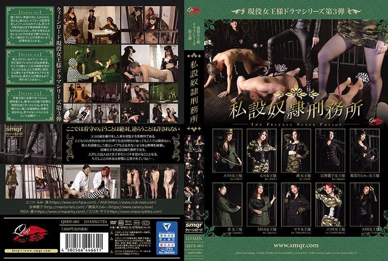 現役女王様ドラマシリーズ第3弾 私設奴●刑務所 （DOD） - 1