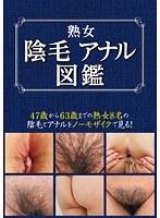 熟女陰毛アナル図鑑 （DOD）